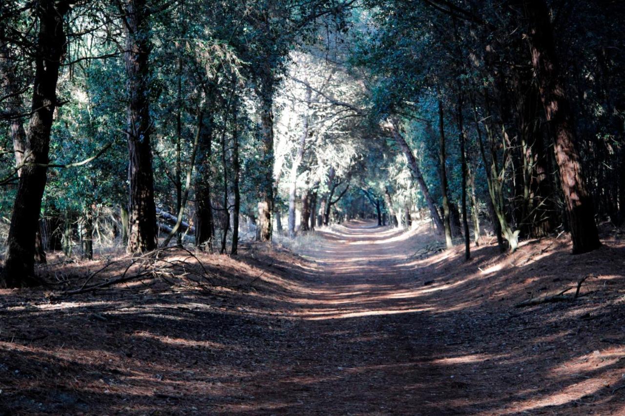 Villa Demi Lido di Pomposa Bagian luar foto